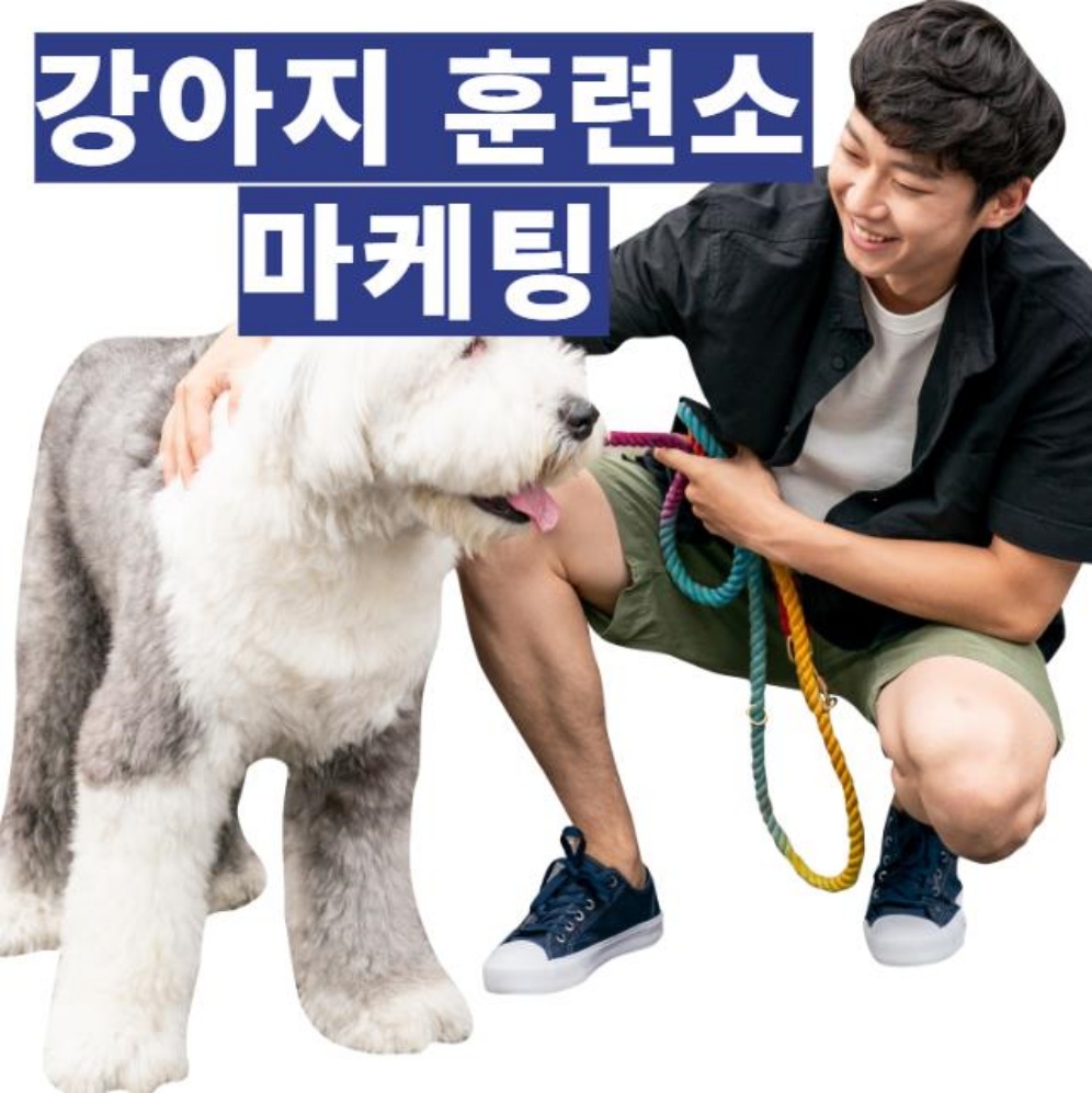 강아지 훈련소 마케팅
