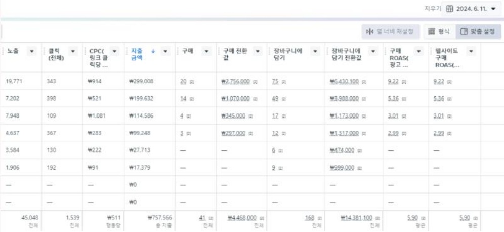 META 광고 성과 이미지 - 6월 11일